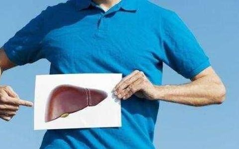 肝的位置，肝脏位置疼是什么原因