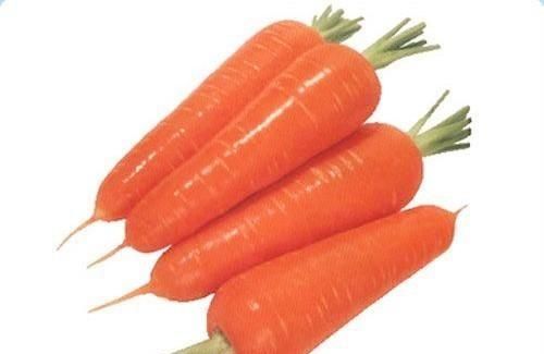 素炒胡萝卜，怎样吃胡萝卜才能更好地吸收里边的胡萝卜素图5