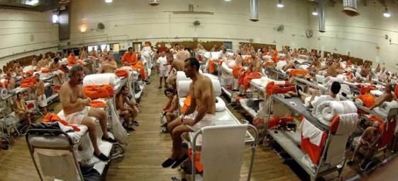 美国狐尾松，为什么美国的监狱很多都是私人经营的图14