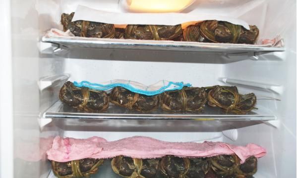 螃蟹可以放冰箱冷冻保存吗，螃蟹可以冷冻保存吗,要注意什么图5