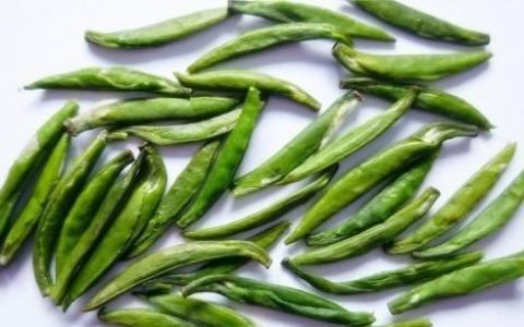 竹叶青茶