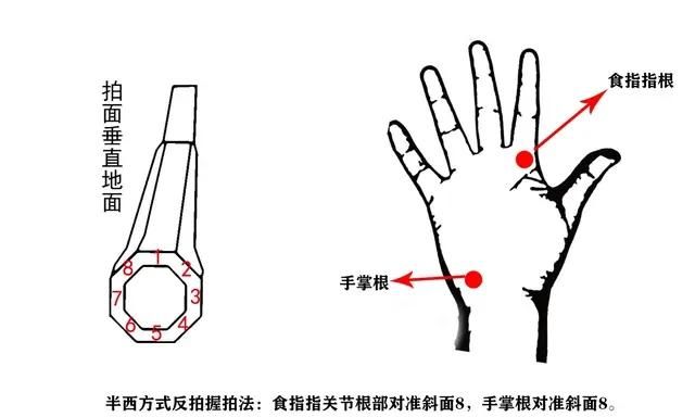 网球拍握法，网球握拍位置高度图15