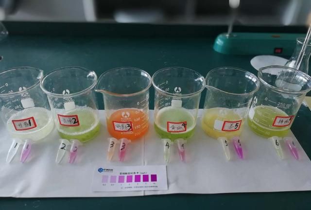 亚硝酸盐的测定，测定泡菜中亚硝酸盐的方法图13