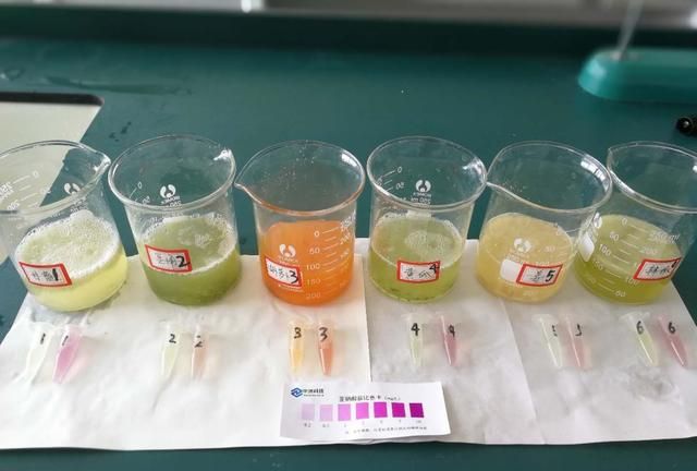 亚硝酸盐的测定，测定泡菜中亚硝酸盐的方法图15