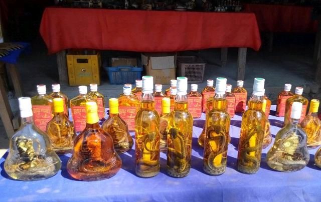 蛇酒咬人，毒蛇被酒泡了2年,开瓶后飙出来咬人!图6