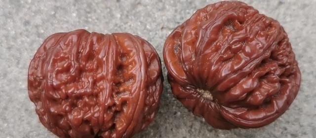 手玩核桃，老年人手玩核桃的好处图8