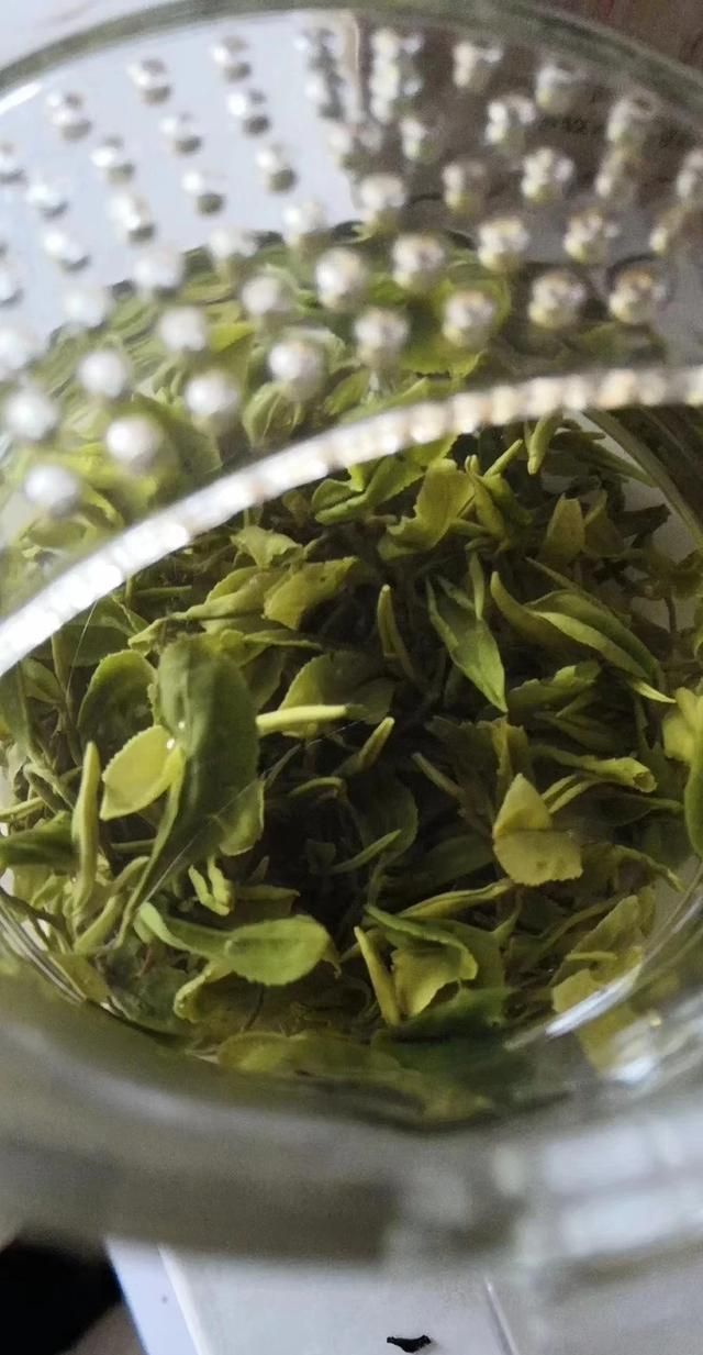 崂山绿茶的功效，青岛哪买的崂山绿茶比较新鲜图1