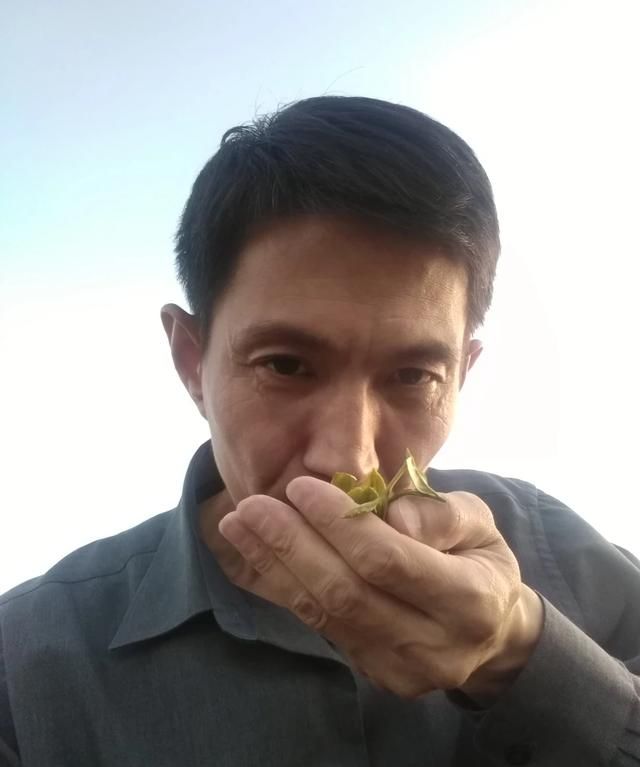 崂山绿茶的功效，青岛哪买的崂山绿茶比较新鲜图8