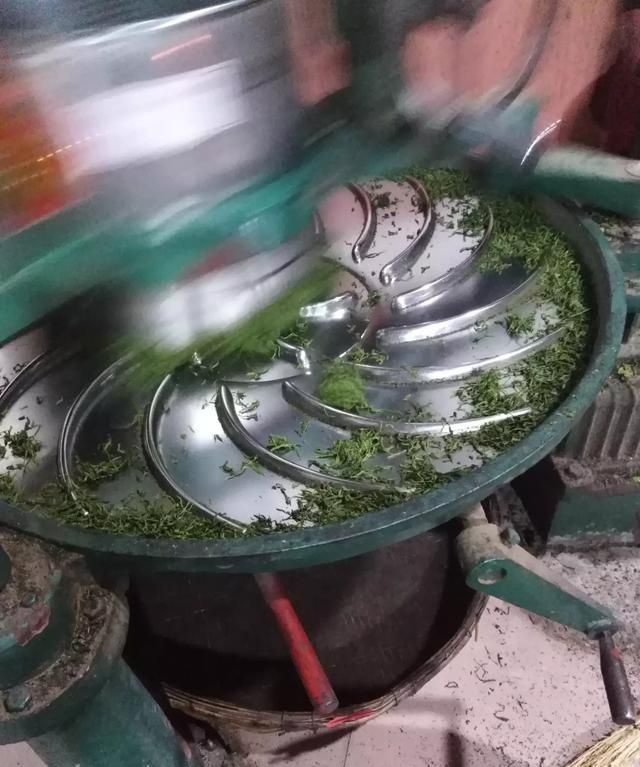 崂山绿茶的功效，青岛哪买的崂山绿茶比较新鲜图11