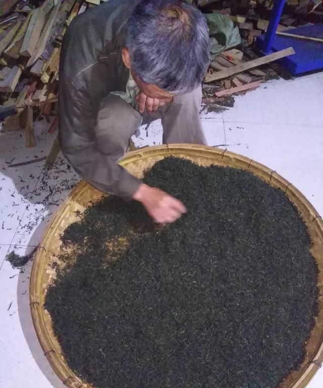 崂山绿茶的功效，青岛哪买的崂山绿茶比较新鲜图13