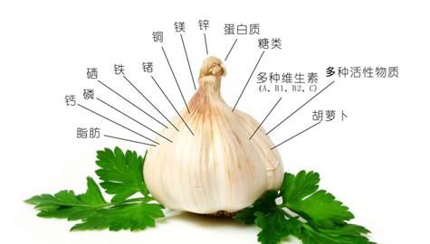 醋泡大蒜的功效，用醋泡大蒜的养生作用有哪些?图2