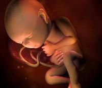 孕期32周胎儿正常多少斤图7
