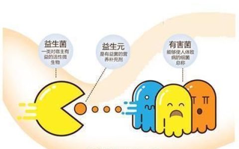 水溶性膳食纤维，乳果糖是水溶性膳食纤维吗