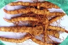 西洋参,黄芪,枸杞,黄精同时泡水喝好吗?图2