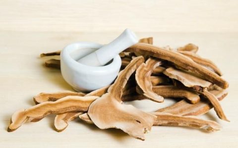 灵芝的功效与作用及食用方法