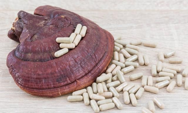 灵芝的功效与作用及食用方法图2