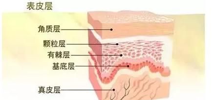 眉毛修复，眉毛有凹陷疤痕怎么办图2