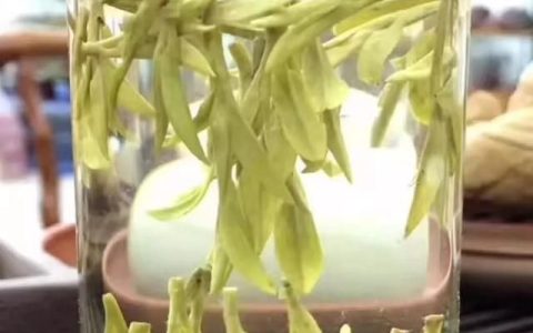 西湖龙井的功效，喝西湖龙井茶有什么好处和坏处?
