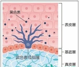 肤色不均怎么办，脸上有色斑肤色不均怎么办图7