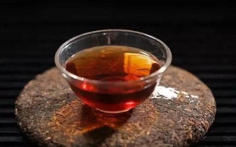 经常喝普洱茶能减肥吗