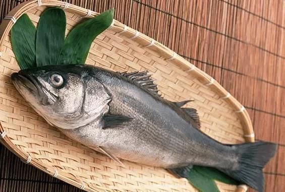 海鲈鱼的做法大全，红烧海鲈鱼块的家常做法图6