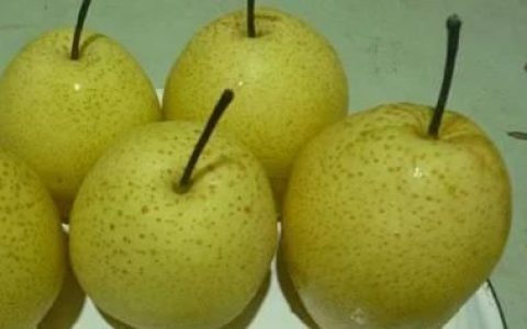 梨子止咳，什么品种的梨子可以止咳化痰?