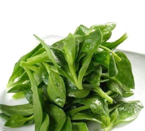 牡丹吊兰图9