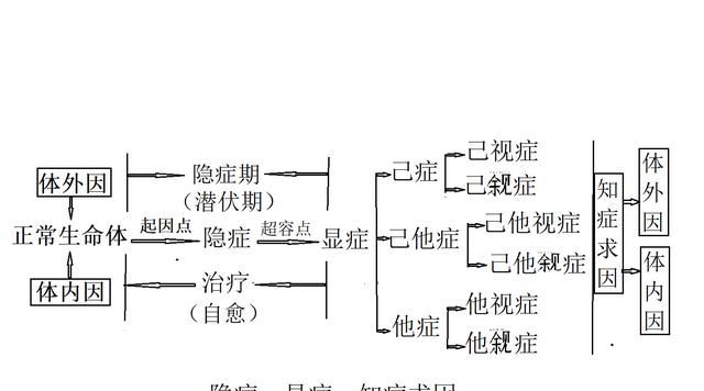 什么原因会引起哮喘病图4