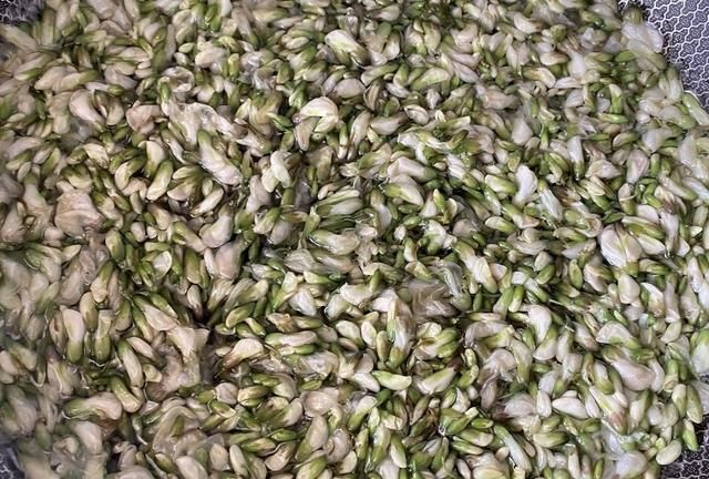 槐树花的吃法，槐树花饼的做法窍门图13