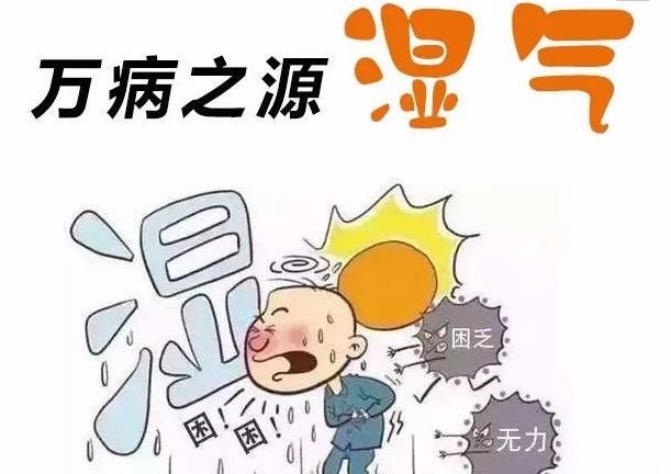 入伏吃啥，入伏第一天吃什么养生图6