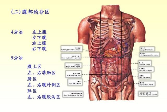 什么运动对腹部减肥有高效?图21