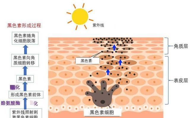 长痘痘用什么祛痘图18