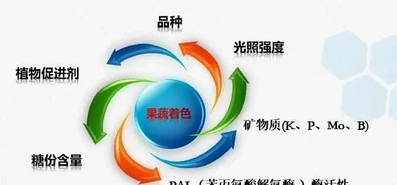 喷施氨基酸叶面肥作物会疯长不长吗图4