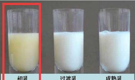 剖腹产奶水来不快的情况下，宝宝第一口奶吃奶粉好还是吃别人的母乳好图2
