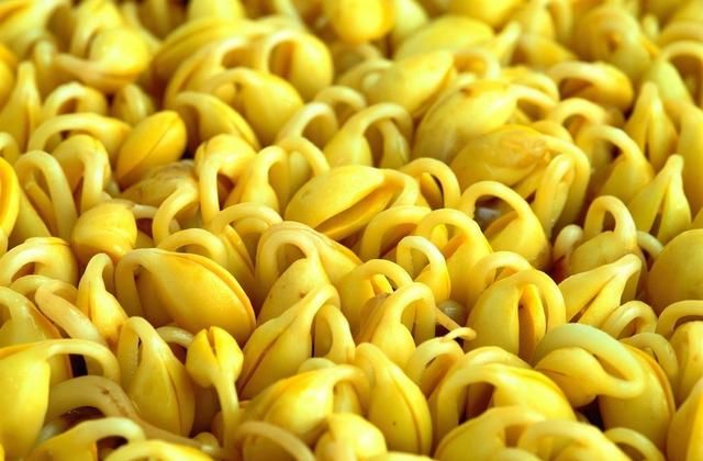 怎样生黄豆芽，家庭生黄豆芽怎么生图4