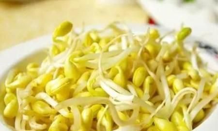 怎样生黄豆芽，家庭生黄豆芽怎么生图7