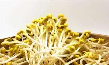 怎样生黄豆芽，家庭生黄豆芽怎么生图8