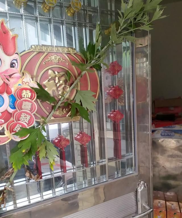 端午节艾草，端午节挂艾草有什么作用图1