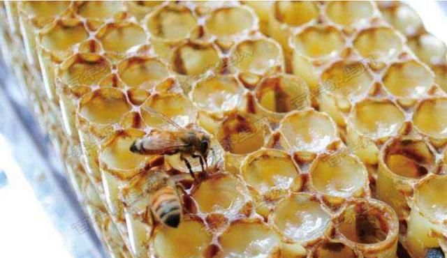 蜂王浆和蜂胶的区别是什么一下蜂王浆冻干粉好，还是蜂胶好图1