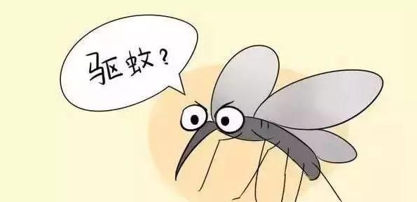 蚊子喜欢咬什么人，蚊子更喜欢叮咬什么样的人图3