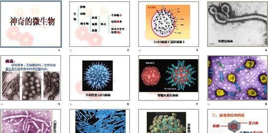 微生物酵素，微生物与人类健康是什么课图1