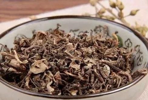 马齿苋的药用价值，农村野菜马齿苋的经典吃法图4