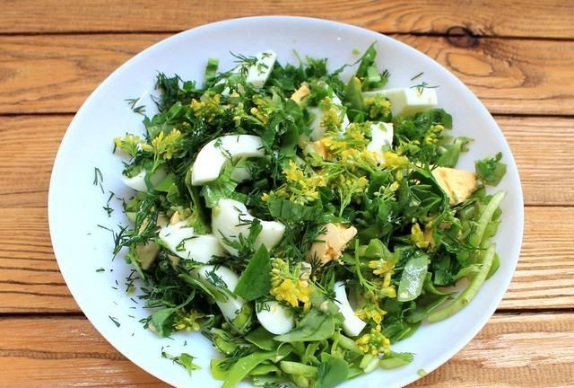 马齿苋的药用价值，农村野菜马齿苋的经典吃法图7