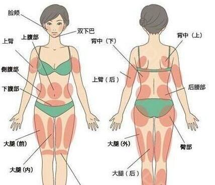 【整形禁区】教你区分吸脂常见及禁区部位，保证安全减肥塑形图1