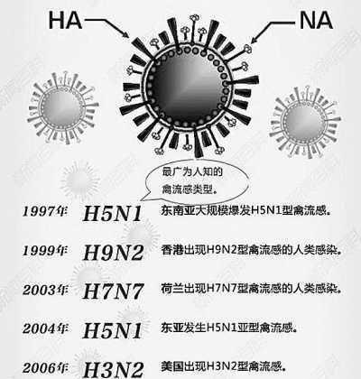 a型流感病毒，新型猪流感病毒有哪些症状图2