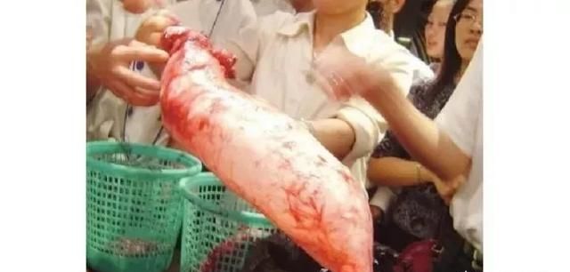 什么是鱼胶,它有什么营养图3