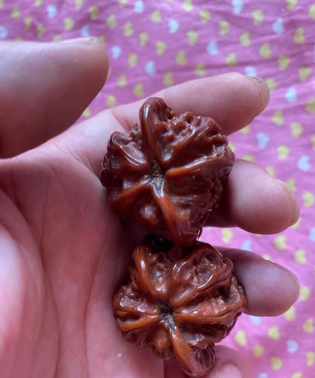 文玩核桃最好的品种是哪一种图2