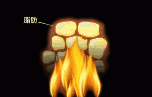 咖啡瘦身，喝咖啡真的可以瘦吗图1