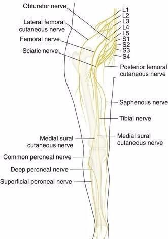 下肢静脉曲张手术禁忌症有哪些图3