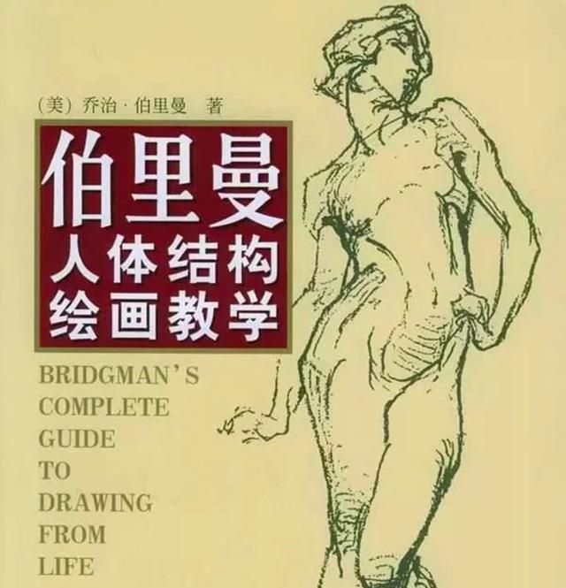 以画好人体为目的，除了艺用解剖书外还需要购买医用解剖书吗需不需要人体骨骼模型图4